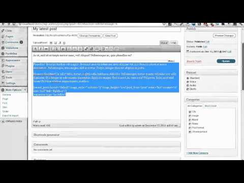 Adding Post, Blog, Portfolio and Simple usage of shortcodes on the Mass wp theme