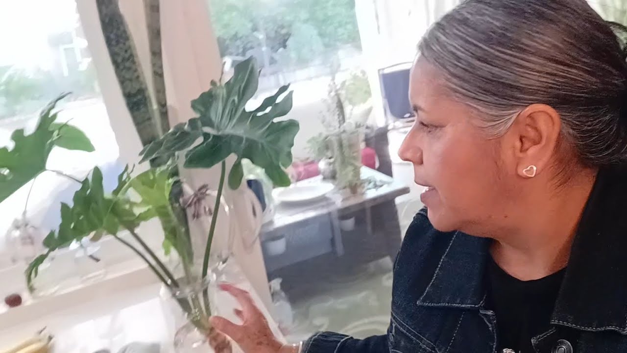 La encontré 🌿y carísima compras limpieza ama de casa/Alma d Cortez 