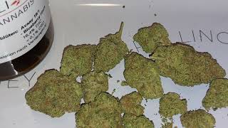 REVIEW 🔵🐰 #Avaay18/1 BBH #Blueberryhaze 16,4% THC #sativa #ChroniCo #südafrika