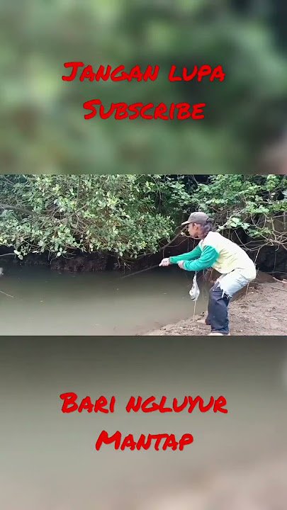 mancing di rawa tengah hutan https://youtu.be/m0bCMqVrzDI https://youtu.be/xasnEYjt2Fc