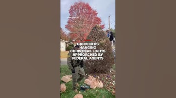 Gardeners hanging Christmas lights approached by federal agents