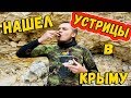 НАШЕЛ ДИКИЕ УСТРИЦЫ В ЧЕРНОМ МОРЕ | ПРОБУЮ СВЕЖИЕ УСТРИЦЫ В КРЫМУ