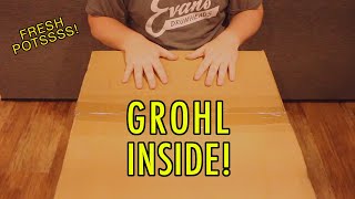 DW Dave Grohl Icon Snare Unboxing