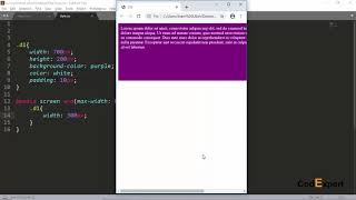21 Responsive Design using Media Queries in CSS in Urdu/Hindi