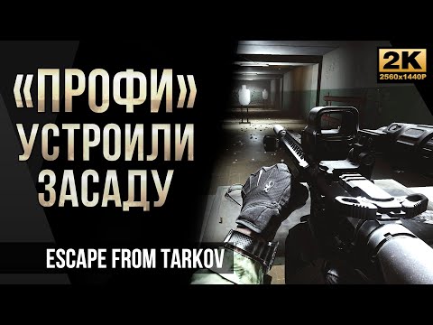 Видео: Профи устроили засаду • Escape from Tarkov №29 [2K]