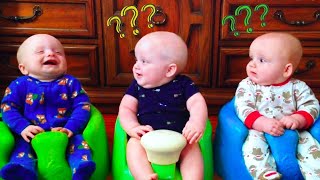 🔴 [LIVE] NEW: 30 minutes with Videos of Cutest Twin, Triplet and Quadruplet Babies - Cool Peachy