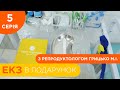 «Дитина для Ірини» - 5 серія - Старт стимуляції яйцеклітин | ЕКЗ в подарунок у Львові