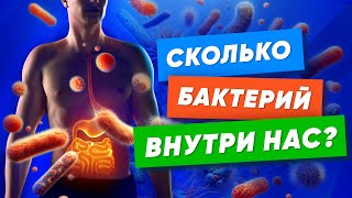 Бактерии внутри нас: сколько весит весь микробиом человека?