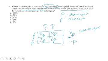 BIO 111 Mendelian Genetics Problems HW Video Part 1