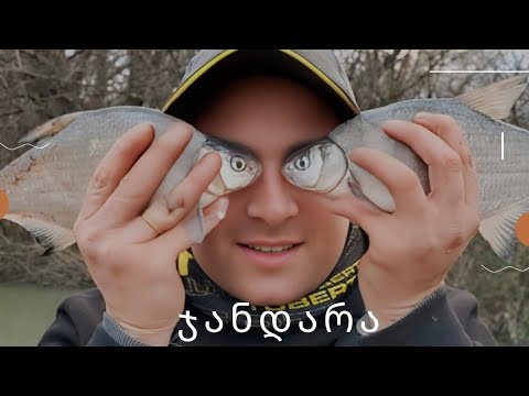 თევზაობა ჯანდარის არხზე მეგობრებთან ერთად 2024.