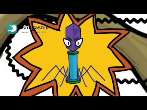 Pancreatitis Aguda saludos amigos dvd