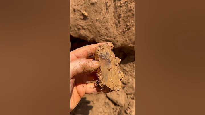 Another perfect find! #quartz #crystals #rockhound