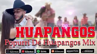 Mix de Huapangos 2024 ~ Popurri De Huapangos Chingones Mix ~ Para Bailar Zapateado