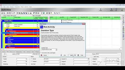 Step #5. Adding Activities in Primavera P6