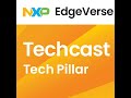 AI Acceleration Week: Ari's Edge, A Fun Take on Ara DNPUs