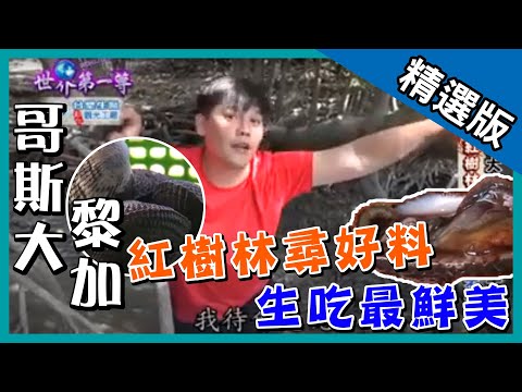 《世界第一等》852集【哥斯大黎加】街頭鼓手│精采回顧