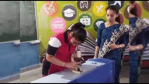 MODERN SANDEEPNI SCHOOL