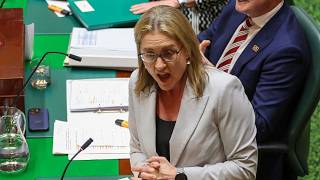 ‘No chance of victory’: Labor turns on Jacinta Allan as polls continue to get worse
