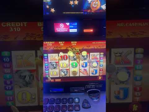 46$ win on Wheel of Fortune #casino #wheeloffortune