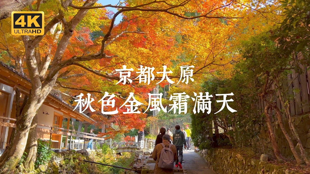 【京都VLOG EP07】秋色京都！大原五寺紅葉盛宴一日遊 | 三千院、實光院、寶泉院、來迎院、寂光院、銀座Lion