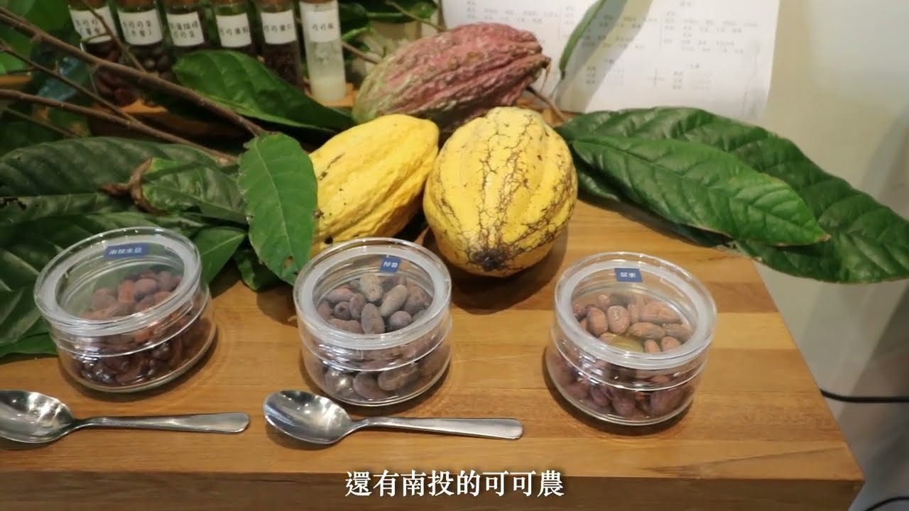 亮點計畫｜劉芊妘｜來自在地風土的味覺詩篇-啟動可可品味旅途