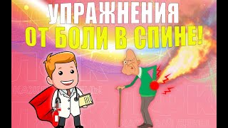 Облегченный Комплекс Упражнений При Боли В Спине | Лфк