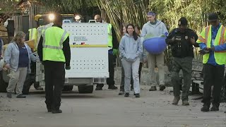 Saying Goodbye to DC's Giant Pandas As They Depart National Zoo for China