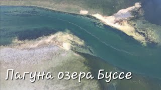 Озеро Буссе Сахалин море устриц, рыбалка по Сахалинки #сахалин #природа #рыбалка