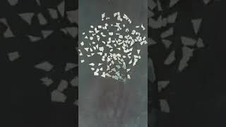 Reindeer From Old Dvds