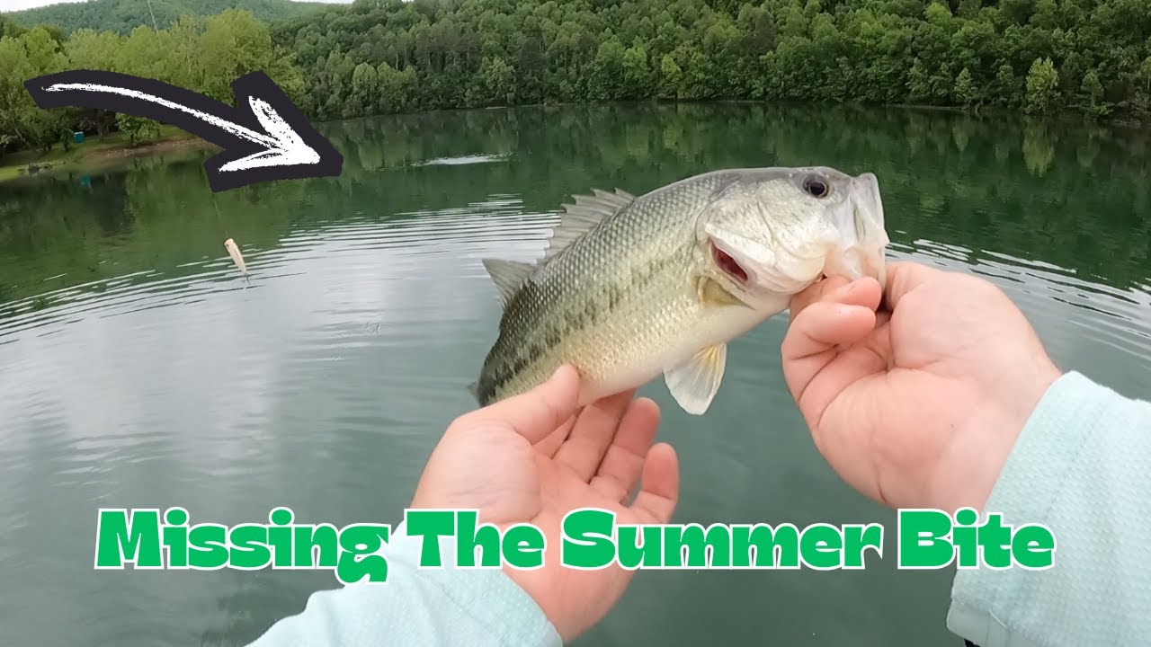 WACKY RIG BASS FISHING: HOT BITE on a RAINY DAY