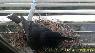 20170930T1530~1600