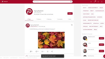 Parler 101: How To Engage With A Post Part 2 (Desktop Version)