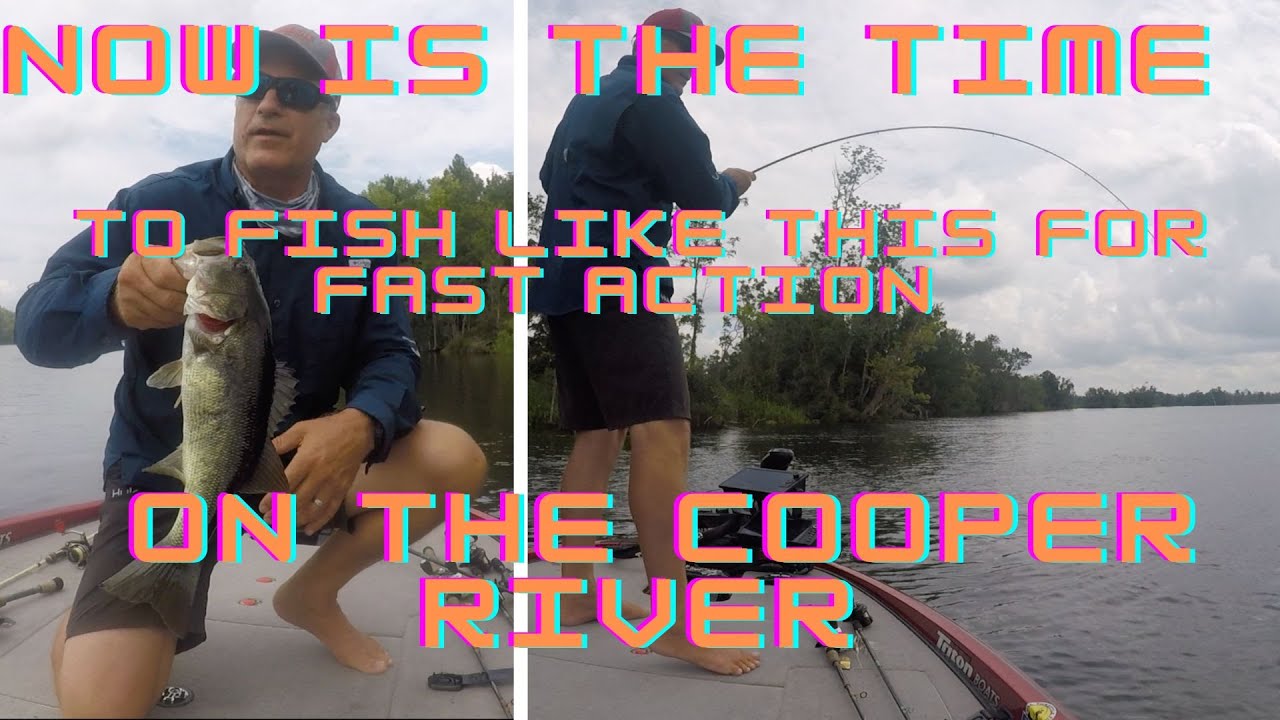 Fish Like This For Fast Action on the Cooper River!