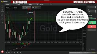 Binary Options Profitable Strategy - How To Make Money