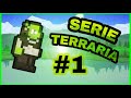 🧟♂️SHREK en TERRARIA XD| Saggi 🃏|