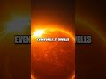 The Spectacular Life Cycle of Stars