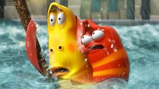 larva larva tsunami cartoon movie cartoons for children larva cartoon larva official