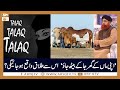 Watch Mujhe Tumhari Zarurat Nahi | Islamic Information | Mufti Akmal | ARY Qtv Online In HD
