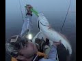 Kayaking Fishing : Winter Bull Redfish, Pensacola, Florida #1