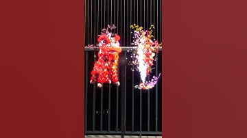 Đón tết 2026 bằng quạt led 3D hologram 4 cánh #tet