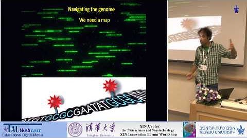 Imaging Genomic Information One Molecule at a Time