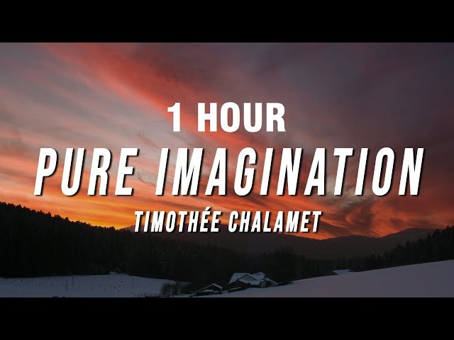 [1 HOUR] Timothée Chalamet - Pure Imagination (Lyrics) from Wonka class=