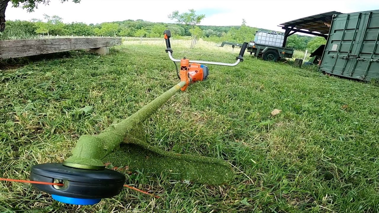 Краткое содержание 2023 Ореховый сад Гете