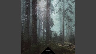 Echoes - Akira Kosemura