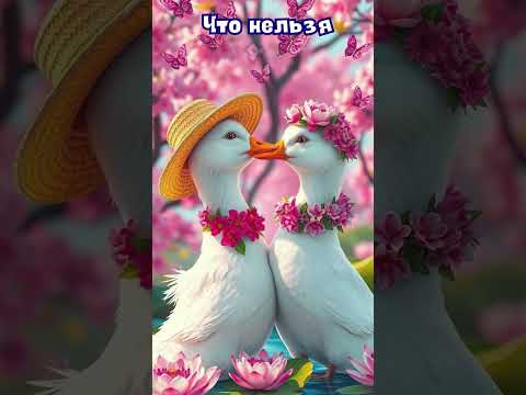 27 марта народные приметы. Приметы 27 марта. 27 марта именины #народныеприметы