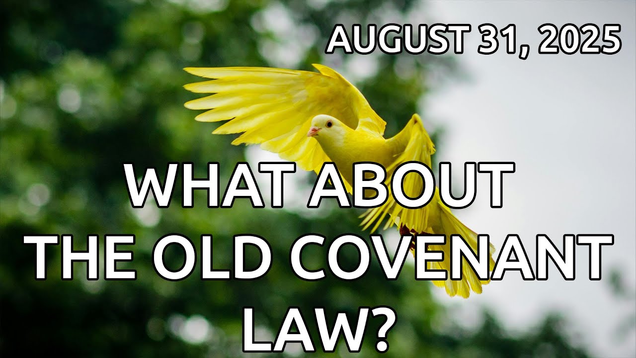 What About the Old Covenant Law?