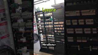 Умный дом loxone #мегавольт #умныйдом #loxone #сборкащитов #электрощит