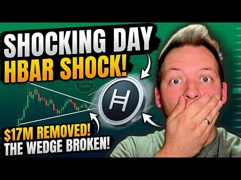 HEDERA - Hari yang Mengejutkan Bagi HBAR! $17 Juta Dicabut?! Hambatan Telah Terpecahkan!