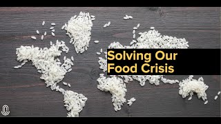 Solving Our Food Crisis | The China Current