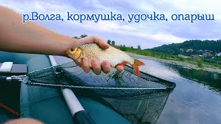 Рыбалка в августе 2018, с кормушкой на реке Волга, на опарыша
